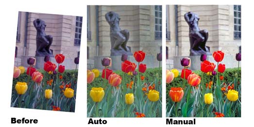 Kristen-Tulip-Sequence%202.jpg