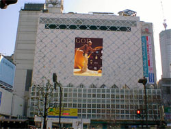 shibuyaadsmall.jpg